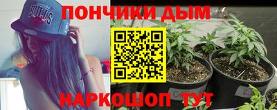 трава Партизанск